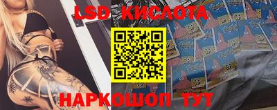 прущие крисы Новокубанск