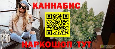 a pvp Новозыбков