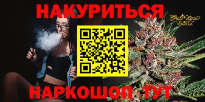 apvp Нальчик