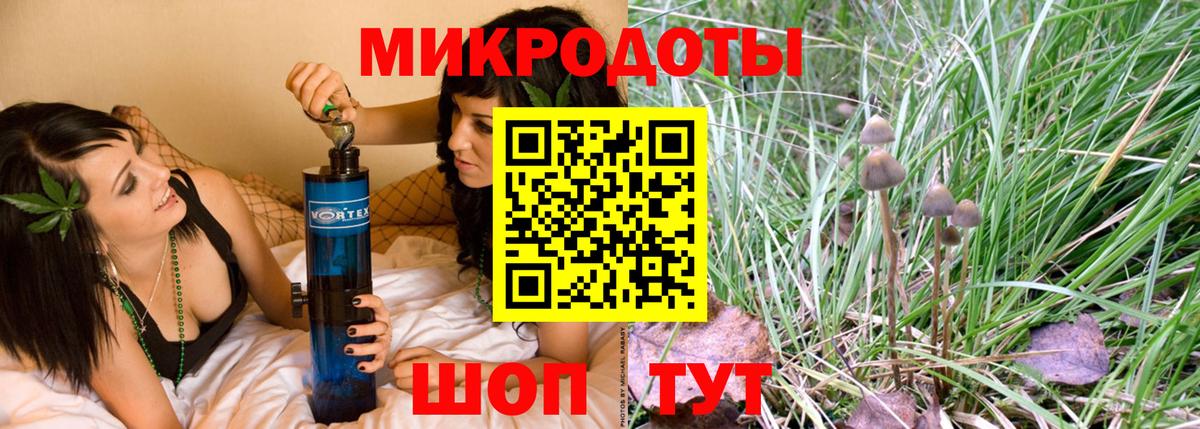 Псилоцибиновые грибы Cubensis Троицк